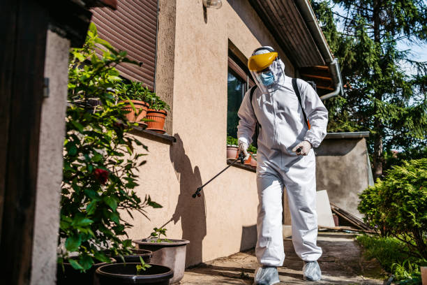 Best Wasp Removal Services  in Lagrange, GA