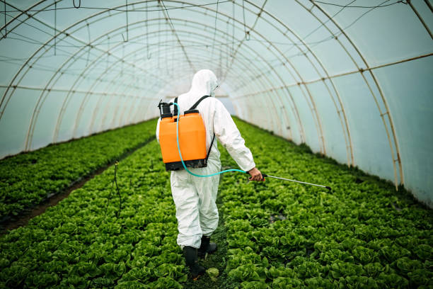 Best Pest Control Treatment  in Lagrange, GA
