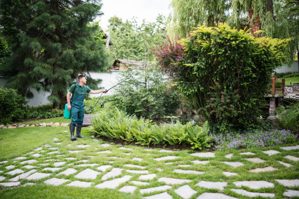 Best Residential Pest Control  in Lagrange, GA