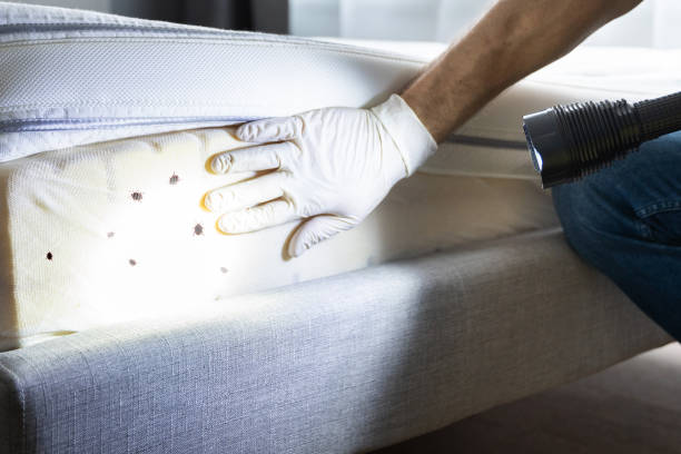 Best Flea Control Services  in Lagrange, GA