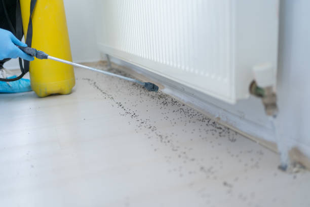 Best Pest Prevention Services  in Lagrange, GA