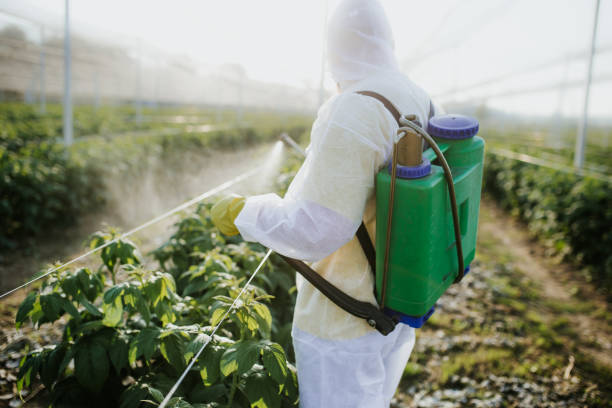 Best Pest Inspection Near Me  in Lagrange, GA